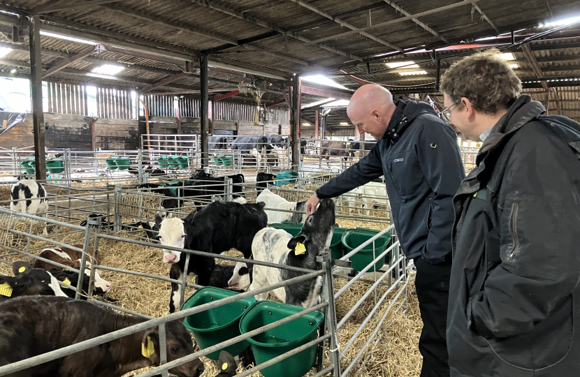 Kieran stroking calf on local diary farm stood next to farmer