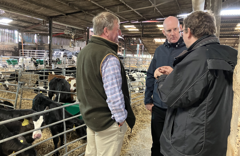 Kieran Mullan talking to local farmers Matt Ford and John Marland in barn with calves behind 