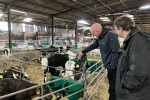 Kieran stroking calf on local diary farm stood next to farmer