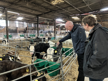 Kieran stroking calf on local diary farm stood next to farmer