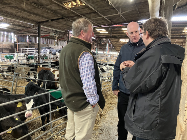 Kieran Mullan talking to local farmers Matt Ford and John Marland in barn with calves behind 